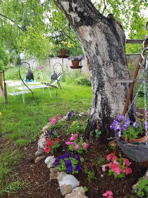Chaumiere Avec Sa Toiture Recouverte De Chaume !!! Donnemain-Saint-Mames Εξωτερικό φωτογραφία